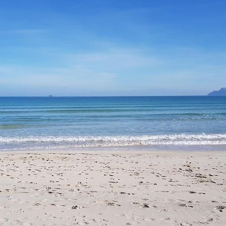 Ideal Property Mallorca - Delicias Αλκούδια Εξωτερικό φωτογραφία