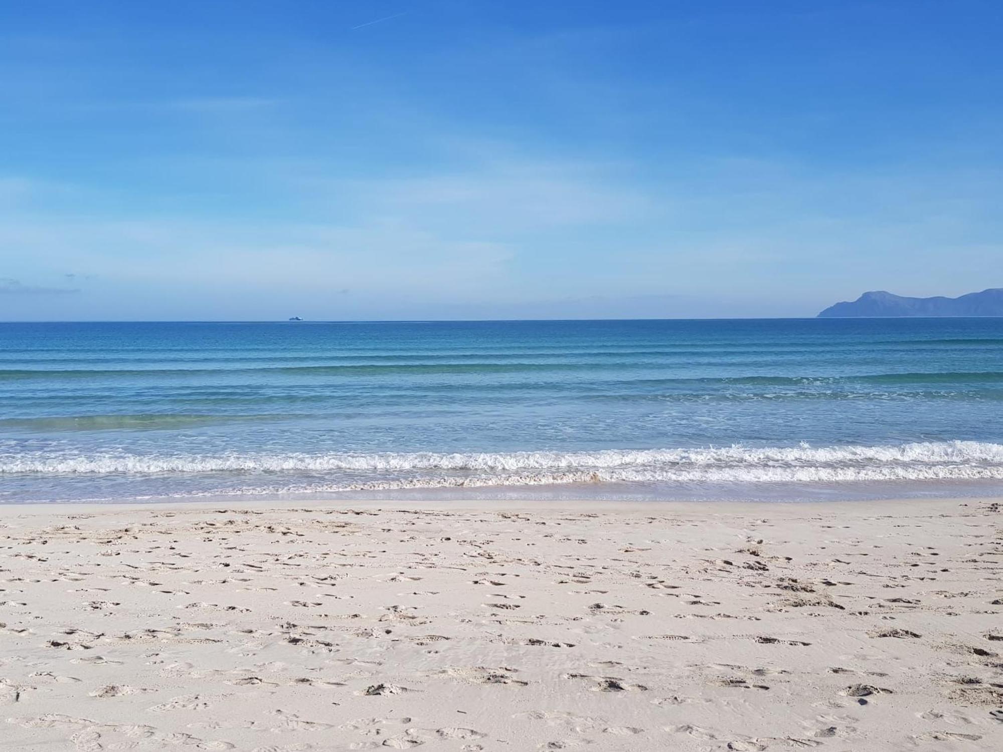 Ideal Property Mallorca - Delicias Αλκούδια Εξωτερικό φωτογραφία